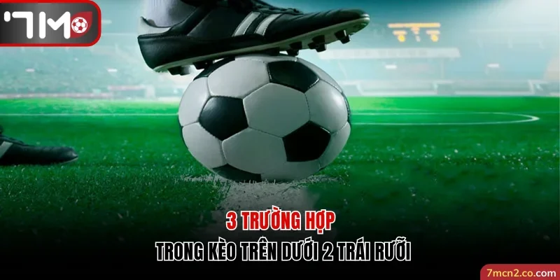 3 trường hợp trong kèo trên dưới 2 trái rưỡi