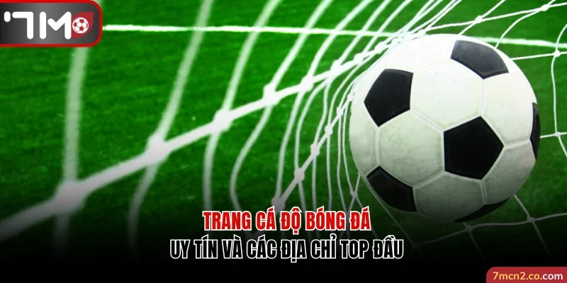 cá độ bóng đá