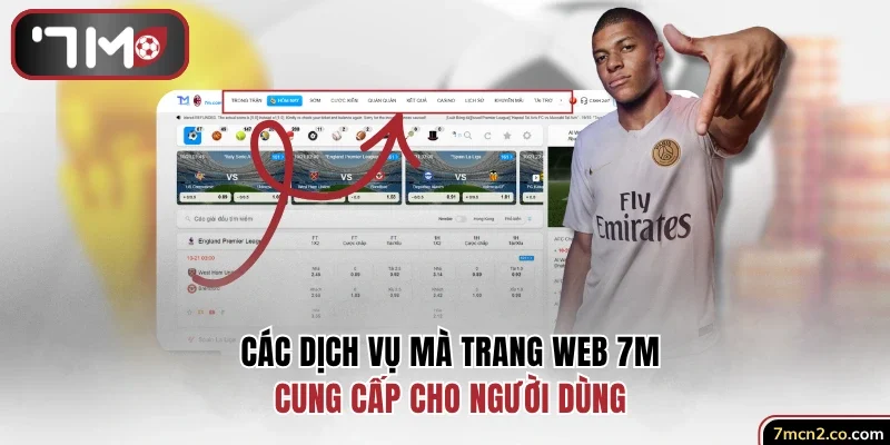 Các dịch vụ chuyên trang trang web 7M cung cấp