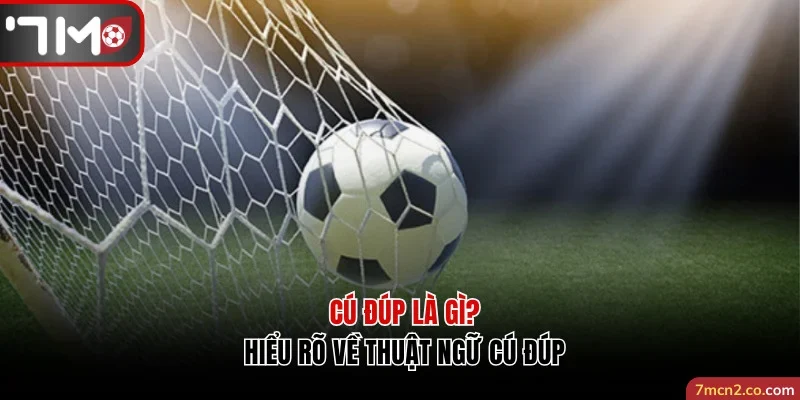 Hiểu rõ về khái niệm cú đúp