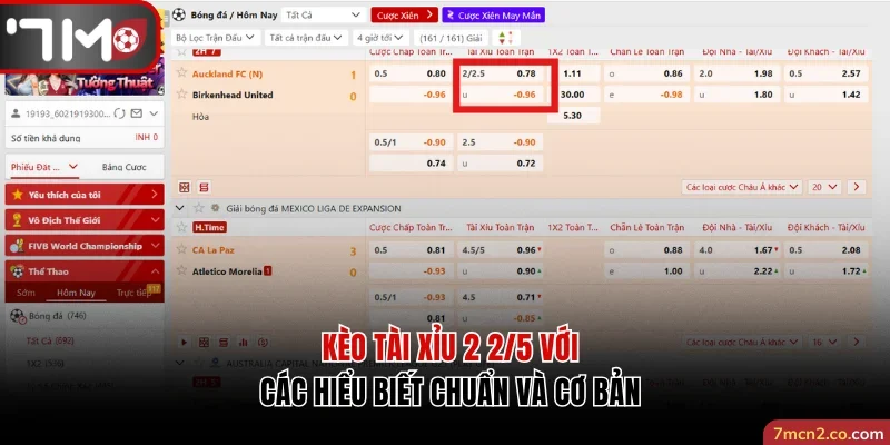 Kèo Tài Xỉu 2 2/5