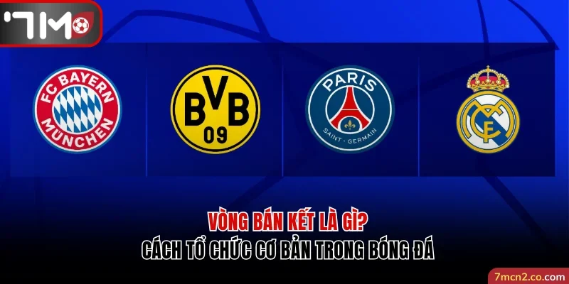 Vòng bán kết là gì